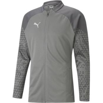 Puma TEAMCUP TRAINING JACKET Férfi futballkabát, szürke, méret kép