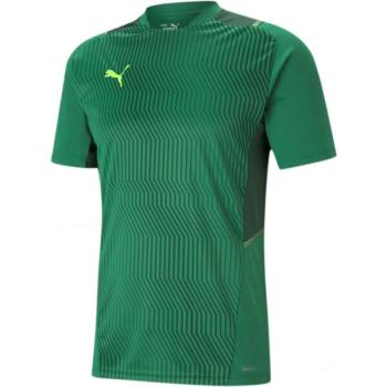 Puma TEAMCUP TRAINING JERSEY Férfi mez, zöld, méret kép