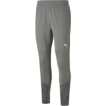 Puma TEAMCUP TRAINING PANTS Férfi melegítőnadrág sportoláshoz, szürke, méret kép