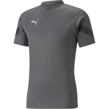 Puma teamFINAL Training Jersey Férfi edzőpóló, szürke, méret kép