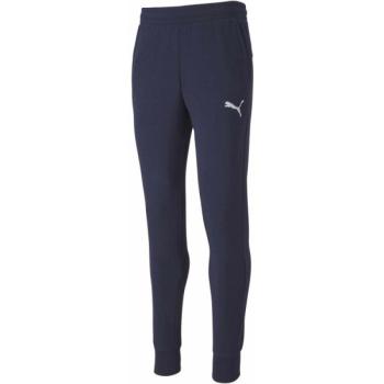 Puma TEAMGOAL 23 CASUALS PANTS Férfi edzőnadrág, sötétkék, méret kép