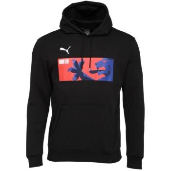 Puma TEAMGOAL 23 CAUSALS HOODY Férfi pulóver focihoz, fekete, méret kép