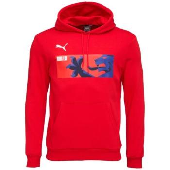 Puma TEAMGOAL 23 CAUSALS HOODY Férfi pulóver focihoz, piros, méret kép