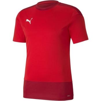 Puma TEAMGOAL 23 TRAINING JERSEY Férfi futballpóló, piros, méret kép