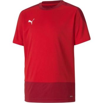 Puma TEAMGOAL 23 TRAINING JERSEY JR Fiú futballpóló, piros, méret kép