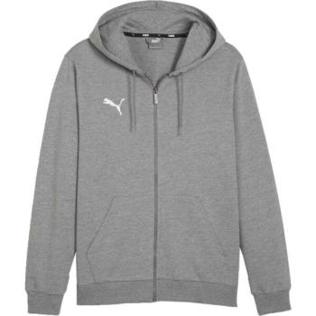 Puma TEAMGOAL CASUALS HOODED Férfi pulóver, szürke, méret kép