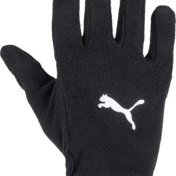 PUMA_teamLIGA 21 Winter gloves fekete kép