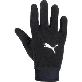 Puma teamLIGA 21 Winter gloves Kesztyű, fekete, méret kép