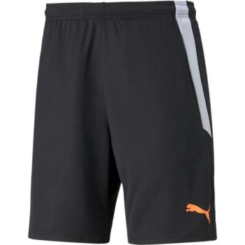 Puma TEAMLIGA TRAINING SHORTS 2 Férfi rövidnadrág, fekete, méret kép