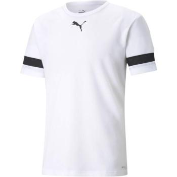 Puma TEAMRISE Fiú futballmez, fehér, méret kép