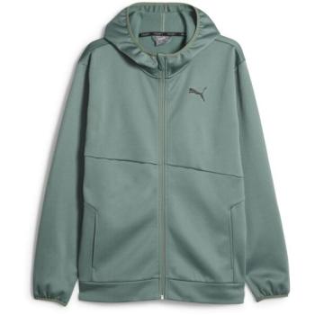 Puma TRAIN ALL DAY HOODIE Férfi sportos pulóver, khaki, méret kép