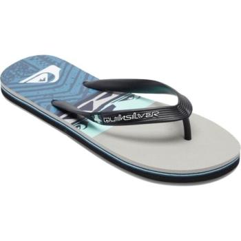 Quiksilver MOLOKAI PANEL Férfi flip-flop papucs, kék, méret 39 kép