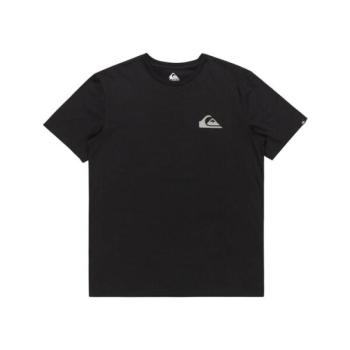 Quiksilver MW MINI LOGO Férfi póló, fekete, méret kép