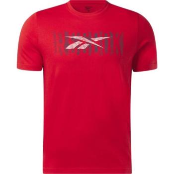 Reebok GS REEBOK LINEAR READ TEE Férfi póló, piros, méret kép