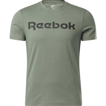 Reebok GS REEBOK LINEAR READ TEE KHK Férfi póló, khaki, méret kép