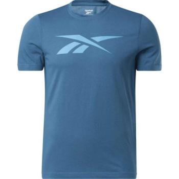 Reebok GS VECTOR TEE Férfi póló, kék, méret kép