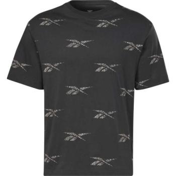 Reebok RI BIG LOGO TEE Férfi póló, fekete, méret kép