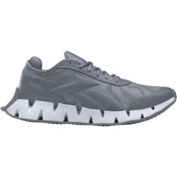 Reebok ZIG DYNAMICA 3 Férfi futócipő, szürke, méret 42.5 kép