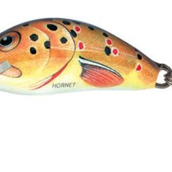 Salmo Hornet Floating 3,5cm 2,2g Trout kép