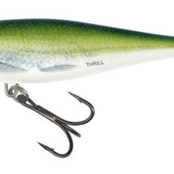 Salmo Thrill Sinking 7 cm 7 g Olive Bleak kép