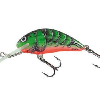 Salmo wobbler hornet h2s gbh kép