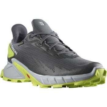 Salomon ALPHACROSS 4 GTX Férfi túracipő, szürke, méret 42 2/3 kép