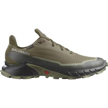 Salomon ALPHACROSS 5 GTX Férfi túracipő, sötétzöld, méret 41 1/3 kép