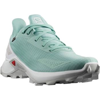 SALOMON-Alphacross Blast GTX pastel/turquoise Kék 38 2/3 kép