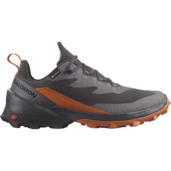 Salomon CROSS OVER 2 GTX Férfi túracipő, sötétszürke, méret 41 1/3 kép