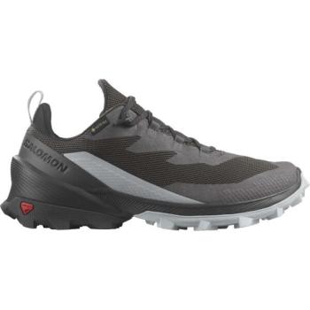 Salomon CROSS OVER 2 GTX W Női túracipő, sötétszürke, méret 37 1/3 kép