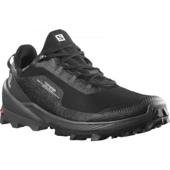 Salomon CROSS OVER GTX Férfi túracipő, fekete, méret 41 1/3 kép