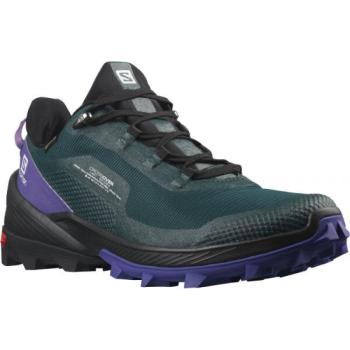 Salomon CROSS OVER GTX W Női túracipő, fekete, méret 37 1/3 kép