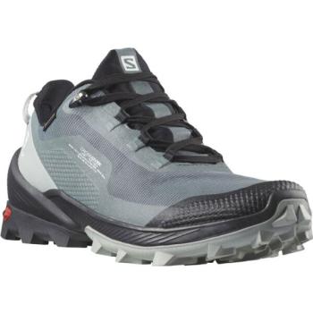 Salomon CROSS OVER GTX W Női túracipő, szürke, méret 37 1/3 kép