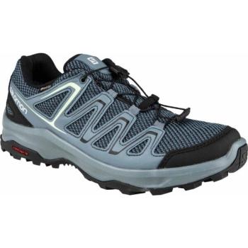 Salomon CUSTER GTX W Női túracipő, sötétszürke, méret 36 2/3 kép