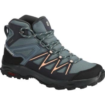 Salomon DAINTREE MID GTX W Női túracipő, szürke, méret 36 2/3 kép