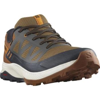 Salomon OUTRISE GTX Férfi túracipő, narancssárga, méret 41 1/3 kép