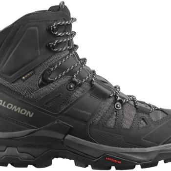 Salomon Quest 4 GTX Magnet/Black/Quarry kép