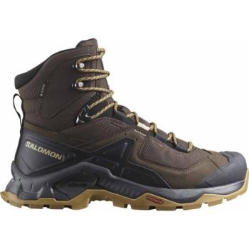 Salomon QUEST ELEMENT GTX Férfi bőr túracipő, barna, méret 42 2/3 kép