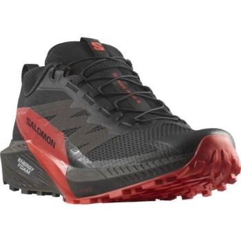 Salomon SENSE RIDE 5 Férfi terep futócipő, fekete, méret 41 1/3 kép