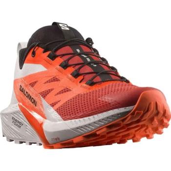 Salomon SENSE RIDE 5 Férfi terep futócipő, narancssárga, méret 40 2/3 kép