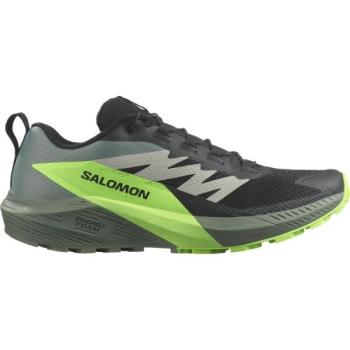 Salomon SENSE RIDE 5 Férfi túracipő, fekete, méret 41 1/3 kép