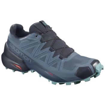 SALOMON-Speedcross 5 GTX W copen blue/navy blazer/meadowbrook Kék 36 2/3 kép