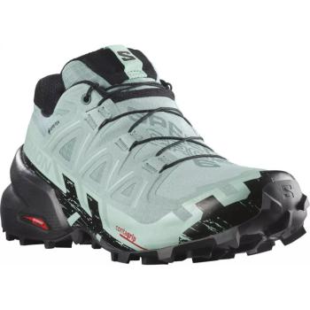 SALOMON-Speedcross 6 GTX W aquifer/black/yucca Zöld 36 2/3 kép