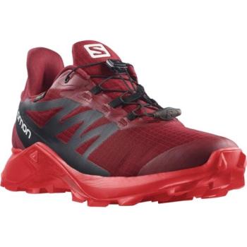 Salomon SUPERCROSS 3 GTX Férfi terepfutó cipő, bordó, méret 41 1/3 kép