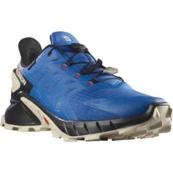 Salomon SUPERCROSS 4 GTX Férfi túracipő, kék, méret 42 2/3 kép