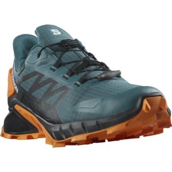 Salomon SUPERCROSS 4 GTX Férfi túracipő, sötétzöld, méret 42 2/3 kép