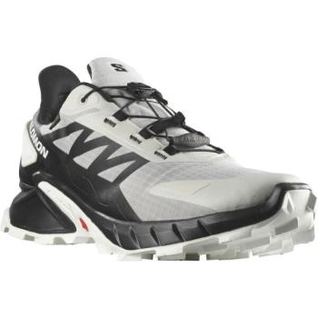 Salomon SUPERCROSS 4 GTX Férfi túracipő, szürke, méret 47 1/3 kép