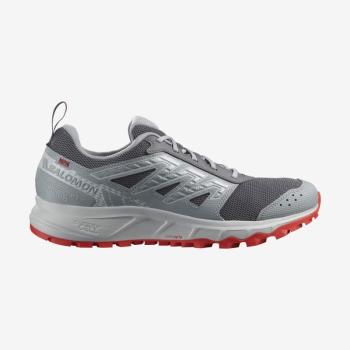 Salomon Wander Quiet Shade/Lunar Rock/Fird kép