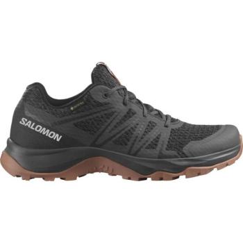 Salomon WARRA GTX W Női túracipő, barna, méret 37 1/3 kép