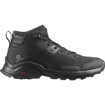 Salomon X RAISE MID GTX Férfi túracipő, fekete, méret 41 1/3 kép